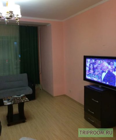 2-комнатная квартира посуточно (вариант № 45252), ул. Ленина проспект, фото № 3