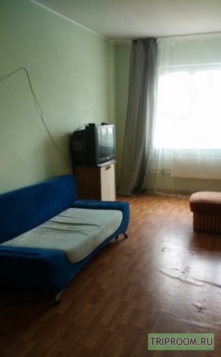 1-комнатная квартира посуточно (вариант № 45830), ул. Каролинского улица, фото № 5